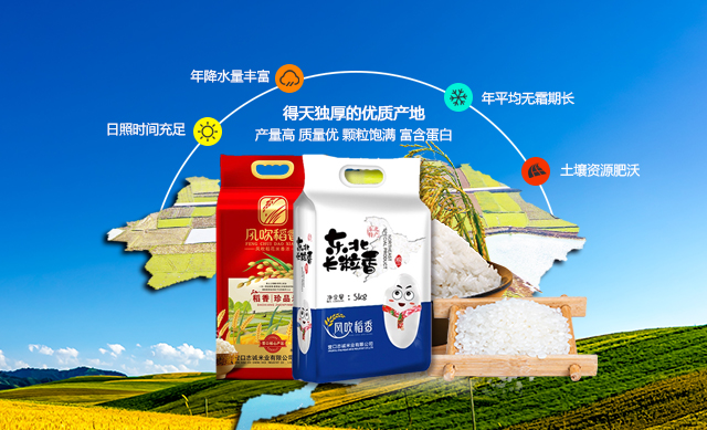 99贵宾会·(中国区)有限公司官网