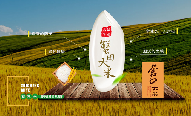 99贵宾会·(中国区)有限公司官网